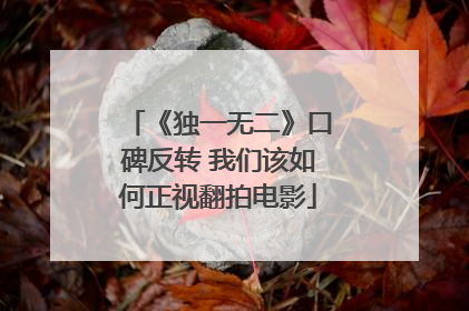 《独一无二》口碑反转 我们该如何正视翻拍电影