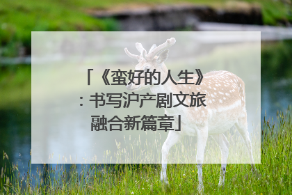 《蛮好的人生》：书写沪产剧文旅融合新篇章
