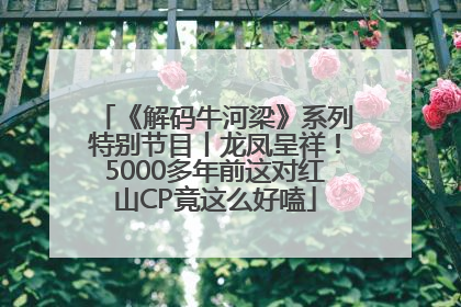《解码牛河梁》系列特别节目丨龙凤呈祥！5000多年前这对红山CP竟这么好嗑
