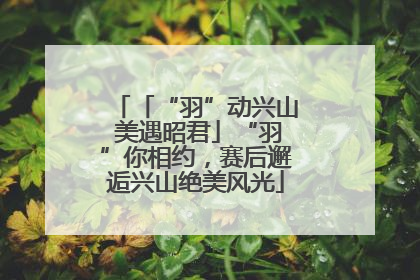 「“羽”动兴山 美遇昭君」“羽”你相约，赛后邂逅兴山绝美风光
