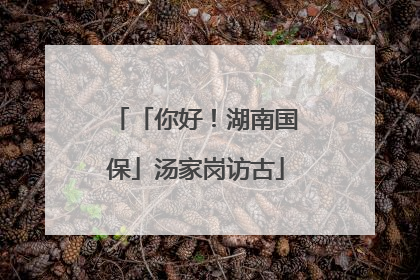 「你好！湖南国保」汤家岗访古