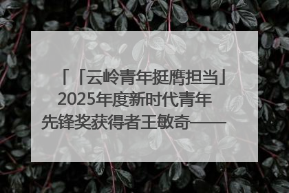 「云岭青年挺膺担当」2025年度新时代青年先锋奖获得者王敏奇——澜沧江上好渔人