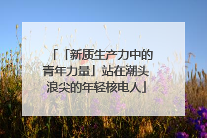 「新质生产力中的青年力量」站在潮头浪尖的年轻核电人