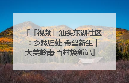 「视频」汕头东湖社区：乡愁归处 希望新生｜大美岭南·百村焕新记