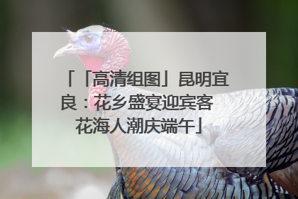「高清组图」昆明宜良：花乡盛宴迎宾客 花海人潮庆端午