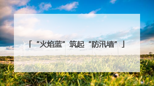 “火焰蓝”筑起“防汛墙”