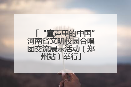 “童声里的中国”河南省文明校园合唱团交流展示活动（郑州站）举行