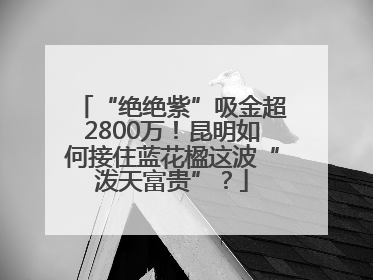 “绝绝紫”吸金超2800万！昆明如何接住蓝花楹这波“泼天富贵”？
