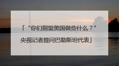 “你们指望美国做些什么？”央视记者提问巴勒斯坦代表