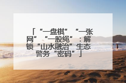 “一盘棋”“一张网”“一股绳”：解锁“山水融治”生态警务“密码”