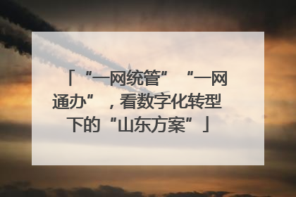 “一网统管”“一网通办”，看数字化转型下的“山东方案”