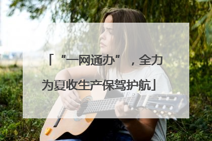 “一网通办”，全力为夏收生产保驾护航
