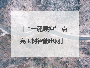 “一键顺控” 点亮玉树智能电网