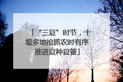 “三夏”时节，十堰多地抢抓农时有序推进夏种夏管