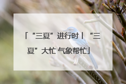 “三夏”进行时丨“三夏”大忙 气象帮忙