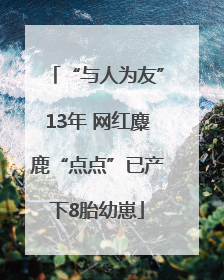 “与人为友”13年 网红麋鹿“点点”已产下8胎幼崽