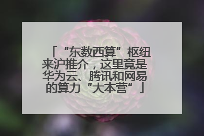 “东数西算”枢纽来沪推介，这里竟是华为云、腾讯和网易的算力“大本营”