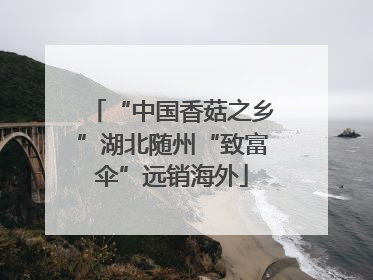 “中国香菇之乡”湖北随州“致富伞”远销海外