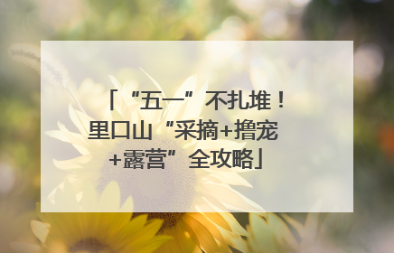 “五一”不扎堆！里口山“采摘+撸宠+露营”全攻略
