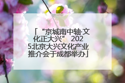 “京城南中轴·文化正大兴” 2025北京大兴文化产业推介会于成都举办