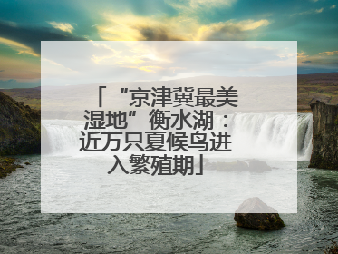 “京津冀最美湿地”衡水湖：近万只夏候鸟进入繁殖期