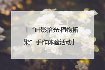 “叶影拾光·植物拓染”手作体验活动