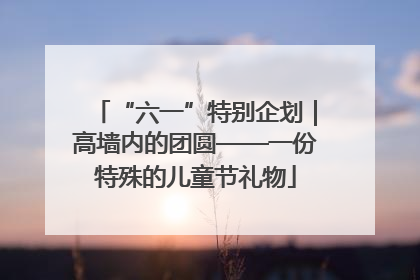 “六一”特别企划｜高墙内的团圆——一份特殊的儿童节礼物