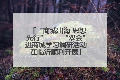 “商城出海 思想先行”——“双会”进商城学习调研活动在临沂顺利开展