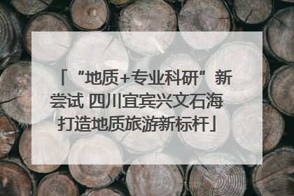 “地质+专业科研”新尝试 四川宜宾兴文石海打造地质旅游新标杆