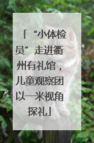 “小体检员”走进衢州有礼馆，儿童观察团以一米视角探礼