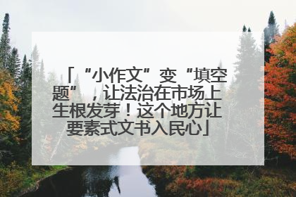 “小作文”变“填空题”，让法治在市场上生根发芽！这个地方让要素式文书入民心