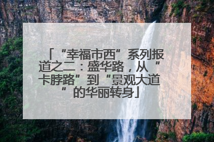 “幸福市西”系列报道之二：盛华路，从“卡脖路”到“景观大道”的华丽转身