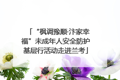 “枫调豫顺·汴家幸福”未成年人安全防护基层行活动走进兰考