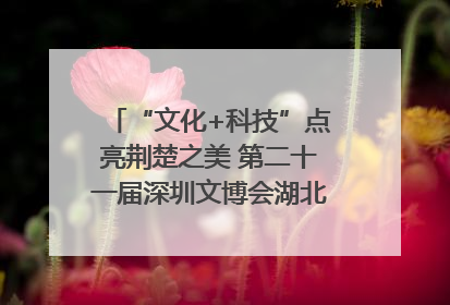 “文化+科技”点亮荆楚之美 第二十一届深圳文博会湖北馆抢“鲜”看