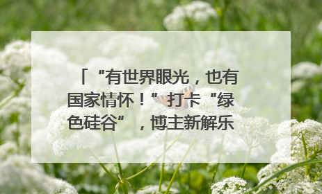 “有世界眼光，也有国家情怀！”打卡“绿色硅谷”，博主新解乐山｜网络名人四川行