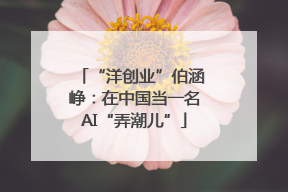 “洋创业”伯涵峥：在中国当一名AI“弄潮儿”