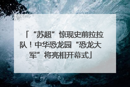 “苏超”惊现史前拉拉队！中华恐龙园“恐龙大军”将亮相开幕式