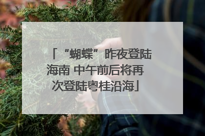 “蝴蝶”昨夜登陆海南 中午前后将再次登陆粤桂沿海