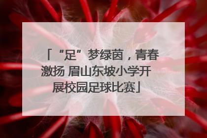 “足”梦绿茵，青春激扬 眉山东坡小学开展校园足球比赛