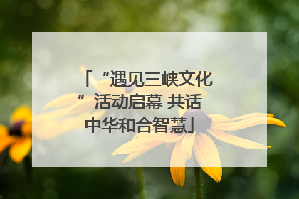 “遇见三峡文化”活动启幕 共话中华和合智慧