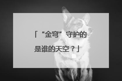 “金穹”守护的是谁的天空？