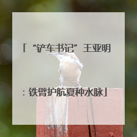 “铲车书记”王亚明：铁臂护航夏种水脉
