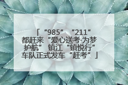 “985”“211”都赶来“爱心送考·为梦护航” 镇江“镇悦行”车队正式发车“赶考”