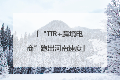 “TIR+跨境电商”跑出河南速度