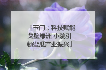 玉门：科技赋能戈壁绿洲 小院引领蜜瓜产业振兴