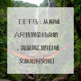 王千马：从桐城六尺巷到荣昌卤鹅，流量风口的县域文旅如何突围