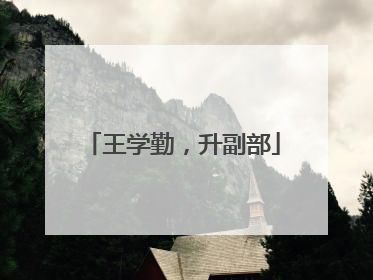 王学勤，升副部