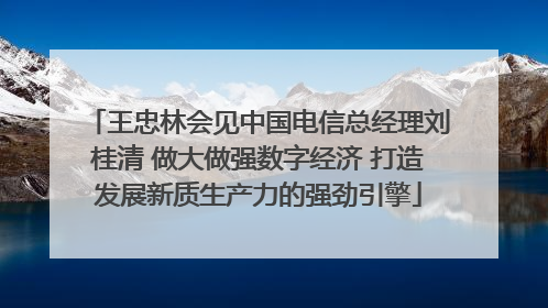 王忠林会见中国电信总经理刘桂清 做大做强数字经济 打造发展新质生产力的强劲引擎