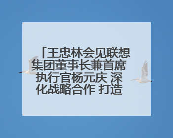 王忠林会见联想集团董事长兼首席执行官杨元庆 深化战略合作 打造世界级光电子信息产业集群