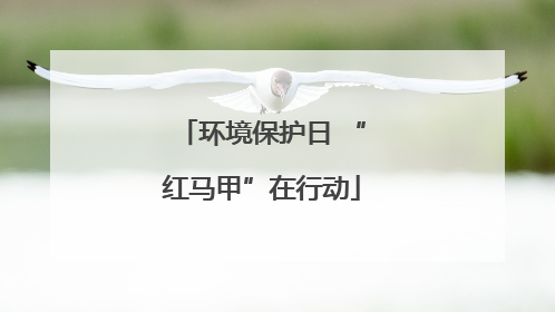 环境保护日 “红马甲”在行动